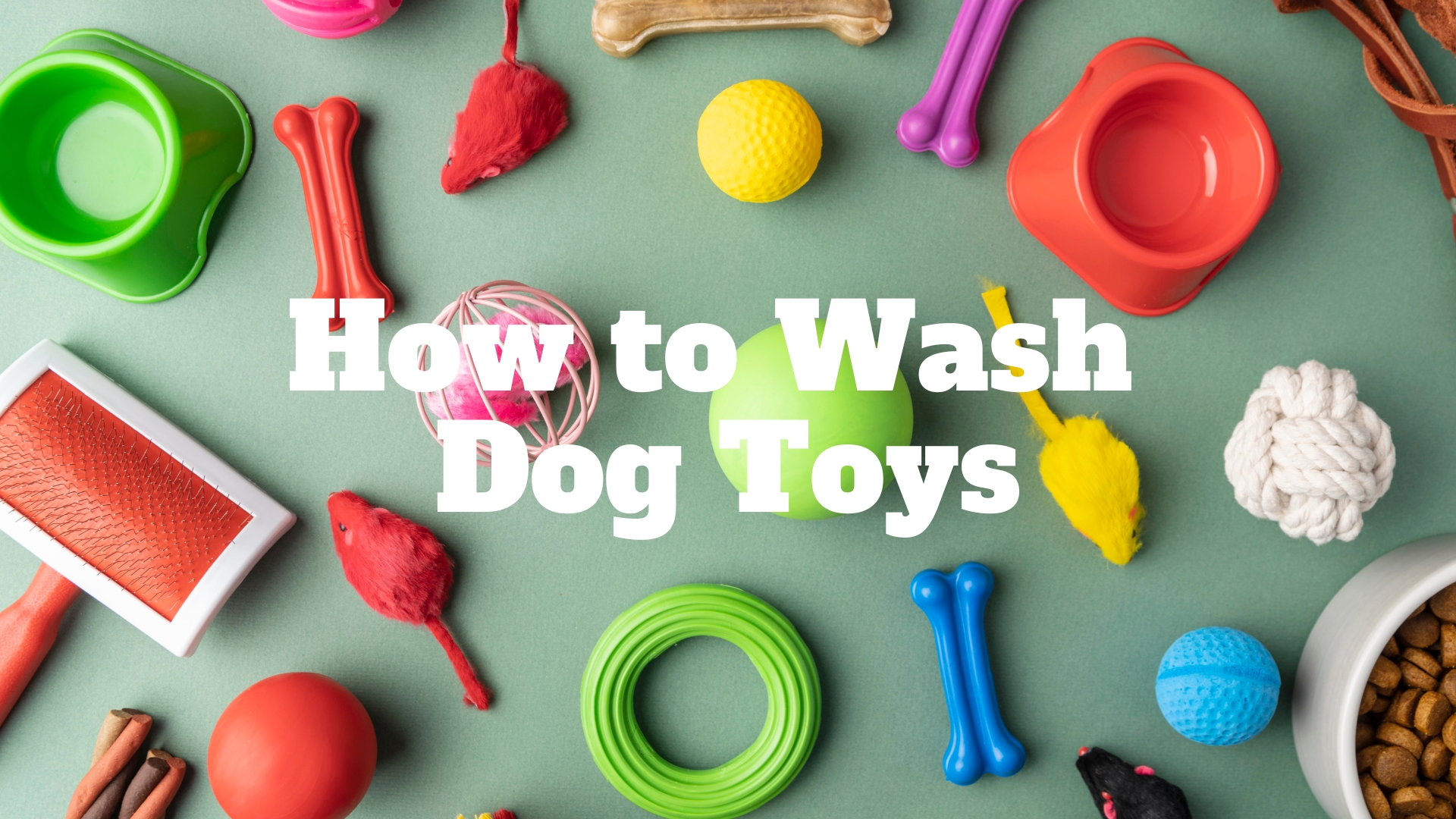 wash dog toys