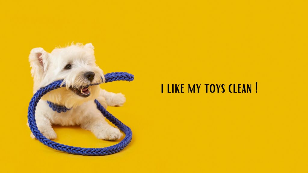 wash dog toys